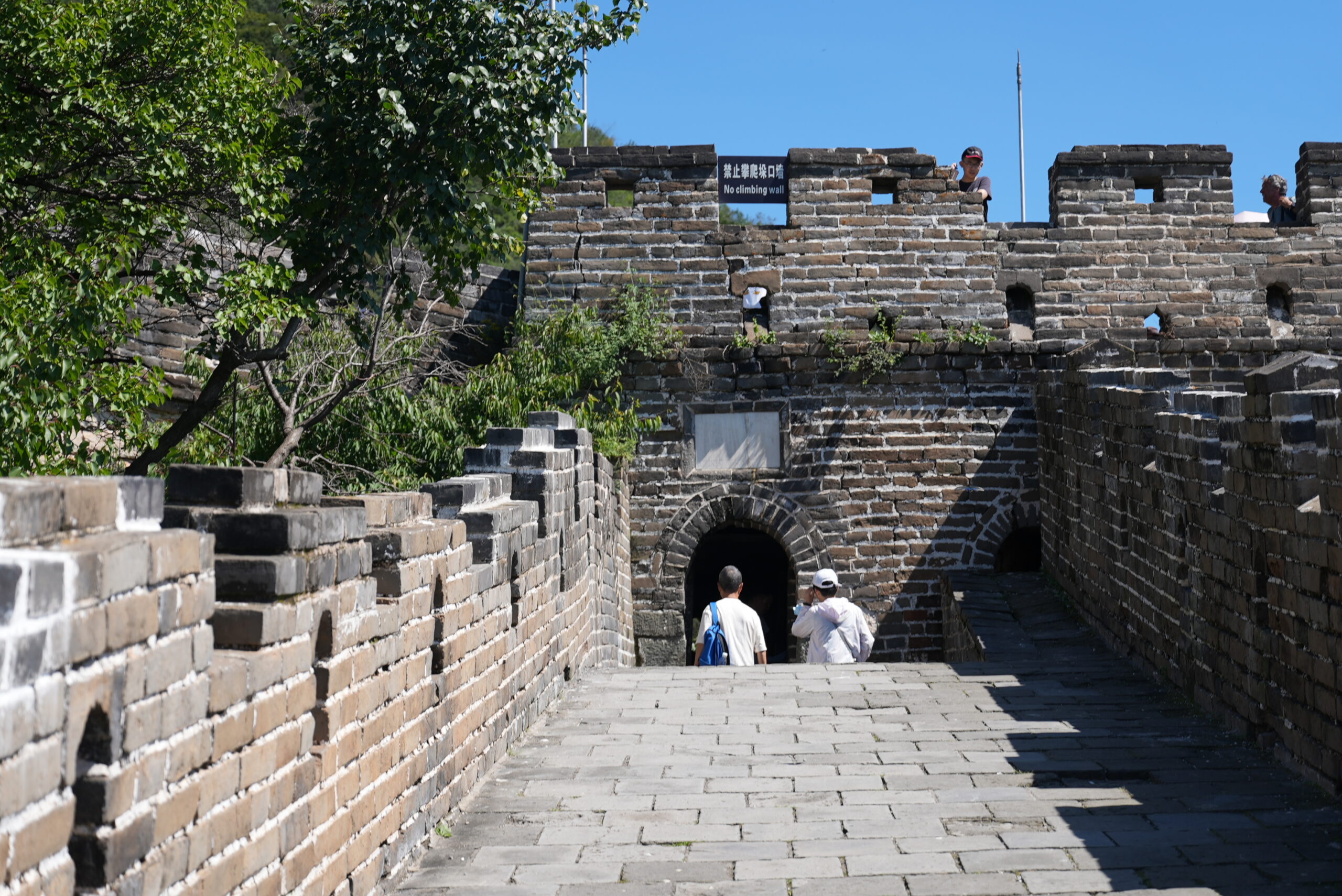 DSC09047