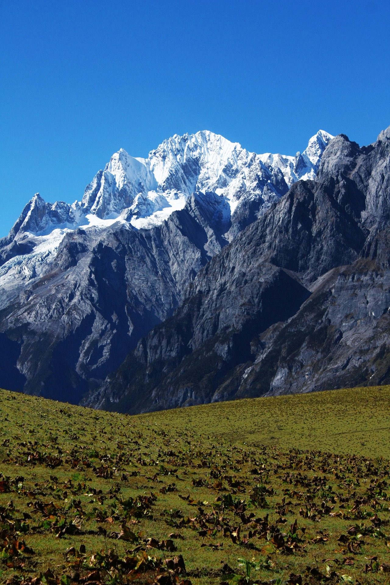 Lijiang landscape
